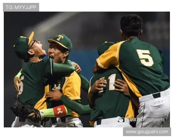 天津棒球体育联赛（天津棒球队全体队员）sports